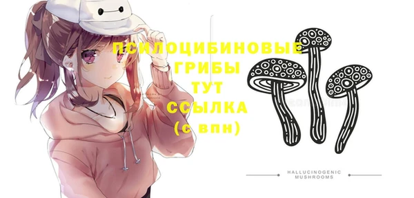 мдпв Беломорск