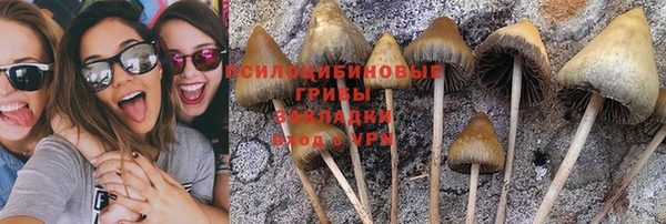 мдпв Беломорск