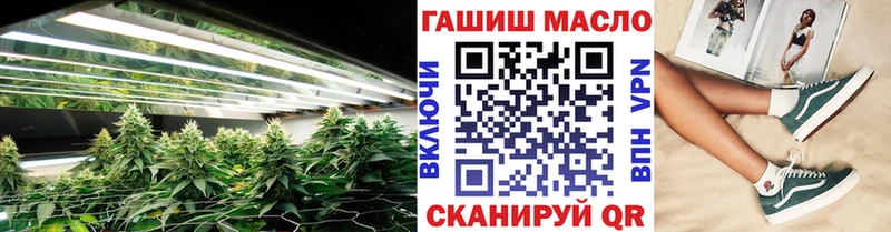 дарнет шоп  Мураши  ТГК вейп с тгк 